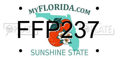 FFP237 Florida License Plate