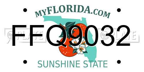 FFQ9032 Florida License Plate