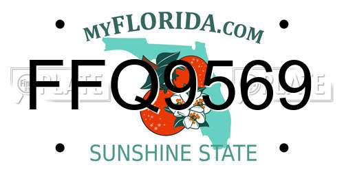 FFQ9569 Florida License Plate
