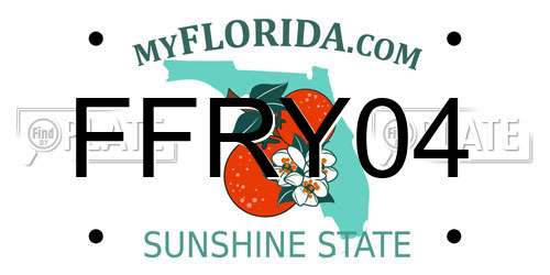 FFRY04 Florida License Plate