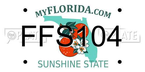FFS104 Florida License Plate