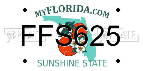 FFS625 Florida License Plate