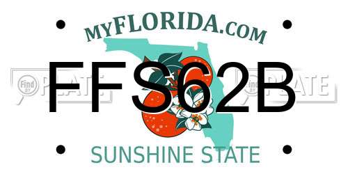 FFS62B Florida License Plate