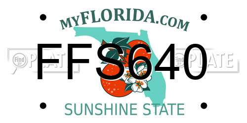 FFS640 Florida License Plate