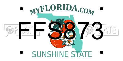 FFS873 Florida License Plate