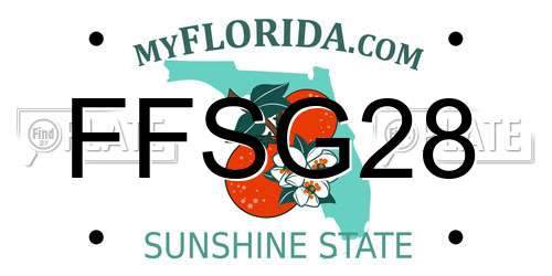 FFSG28 Florida License Plate