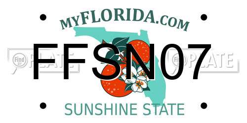 FFSN07 Florida License Plate
