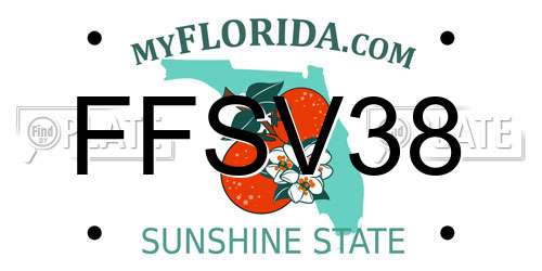 FFSV38 Florida License Plate