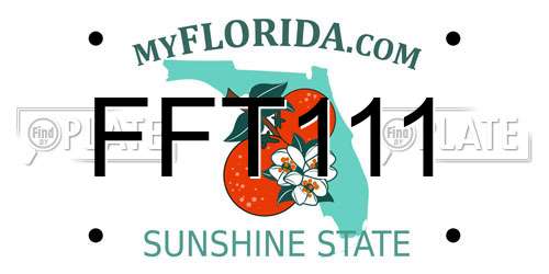 FFT111 Florida License Plate