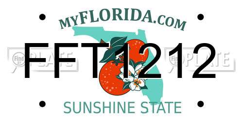 FFT1212 Florida License Plate