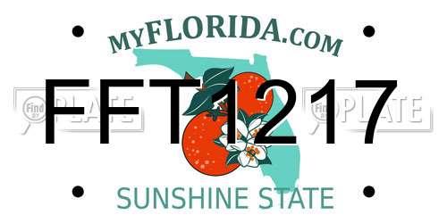 FFT1217 Florida License Plate