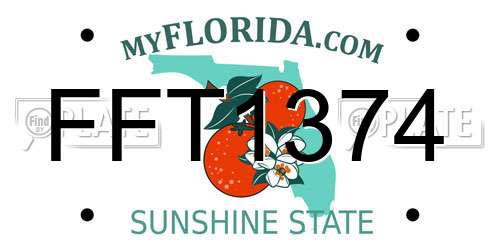 FFT1374 Florida License Plate