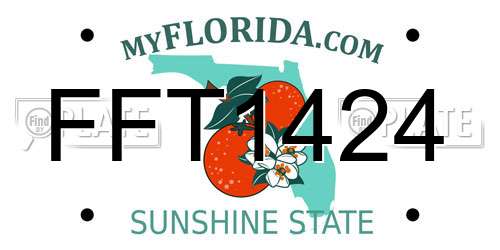 FFT1424 Florida License Plate