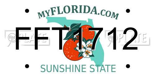 FFT1712 Florida License Plate