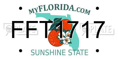 FFT1717 Florida License Plate