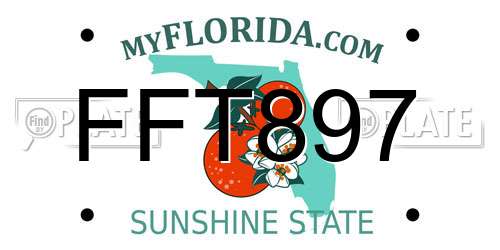 FFT897 Florida License Plate
