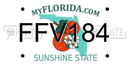 FFV184 Florida License Plate