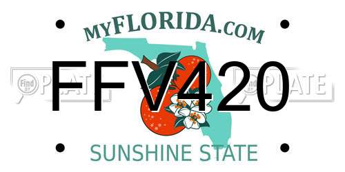 FFV420 Florida License Plate