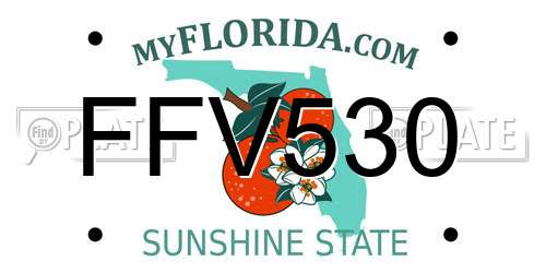 FFV530 Florida License Plate