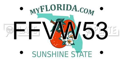 FFVW53 Florida License Plate