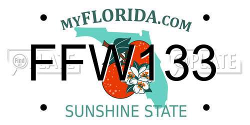 FFW133 Florida License Plate