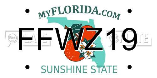 FFWZ19 Florida License Plate