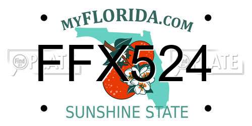 FFX524 Florida License Plate