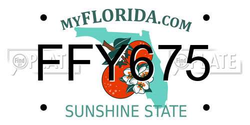 FFY675 Florida License Plate