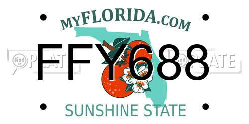 FFY688 Florida License Plate