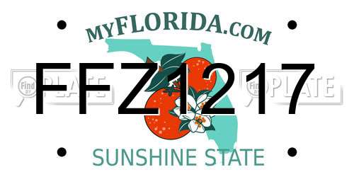 FFZ1217 Florida License Plate
