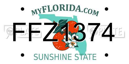 FFZ1374 Florida License Plate