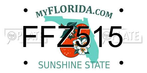 FFZ515 Florida License Plate