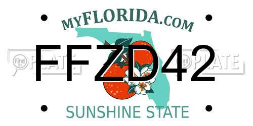 FFZD42 Florida License Plate