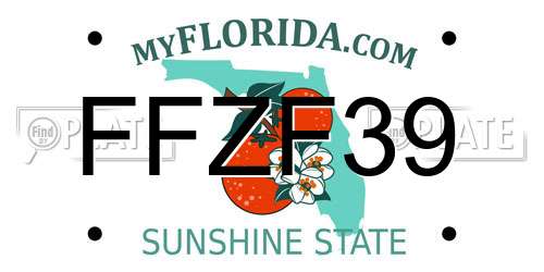 FFZF39 Florida License Plate
