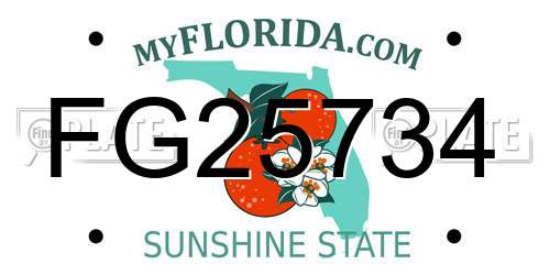 FG25734 Florida License Plate