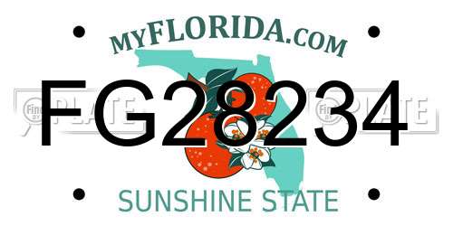 FG28234 Florida License Plate