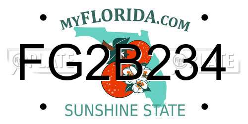 FG2B234 Florida License Plate