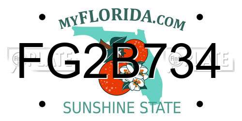 FG2B734 Florida License Plate