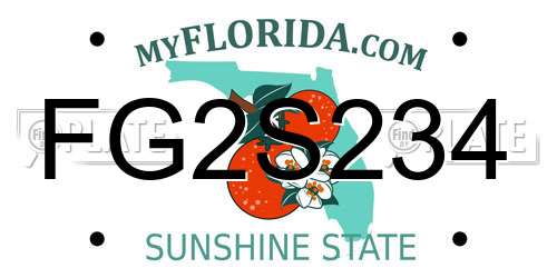 FG2S234 Florida License Plate