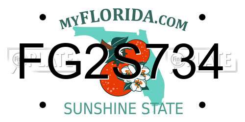 FG2S734 Florida License Plate