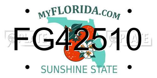 FG42510 Florida License Plate
