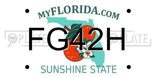 FG42H Florida License Plate