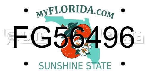 FG56496 Florida License Plate