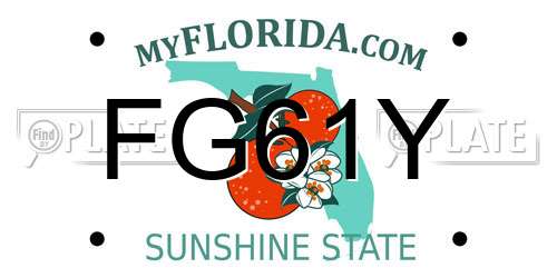 FG61Y Florida License Plate