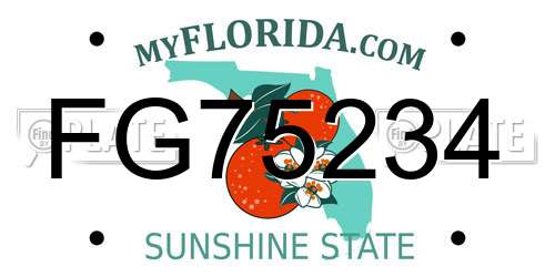 FG75234 Florida License Plate