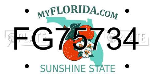 FG75734 Florida License Plate