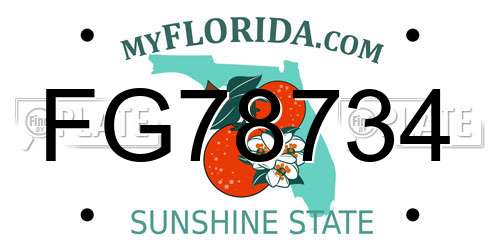 FG78734 Florida License Plate