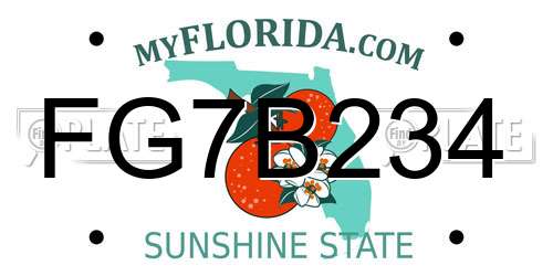 FG7B234 Florida License Plate