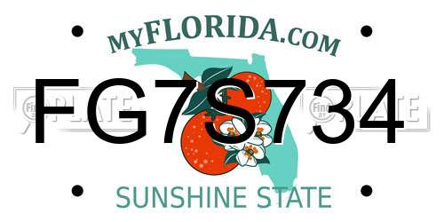 FG7S734 Florida License Plate
