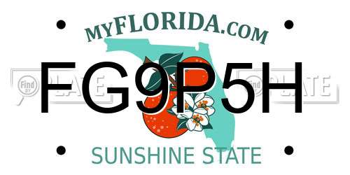 FG9P5H Florida License Plate
